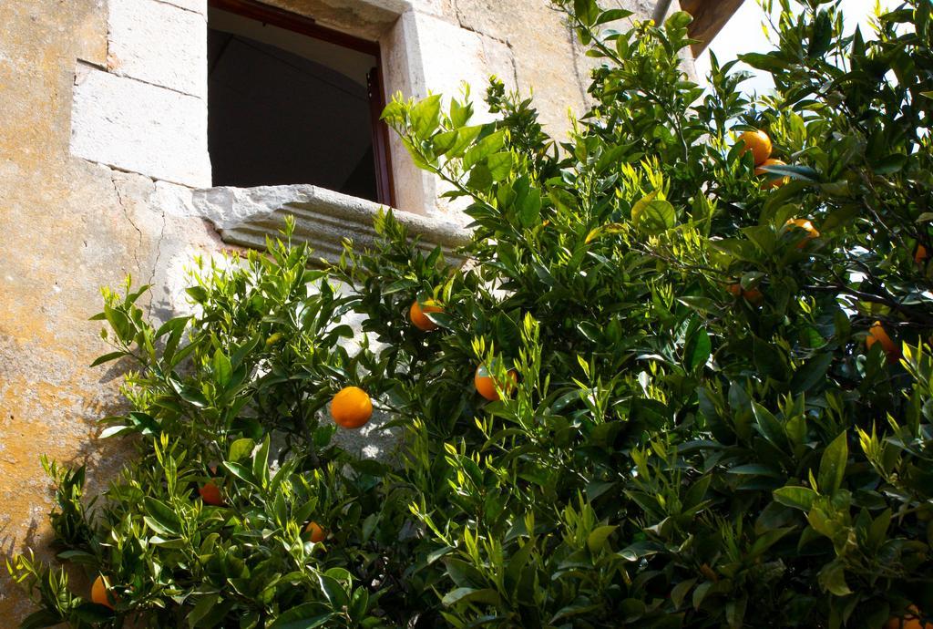 Apartamentos En La Rectoria De Regencós Buitenkant foto